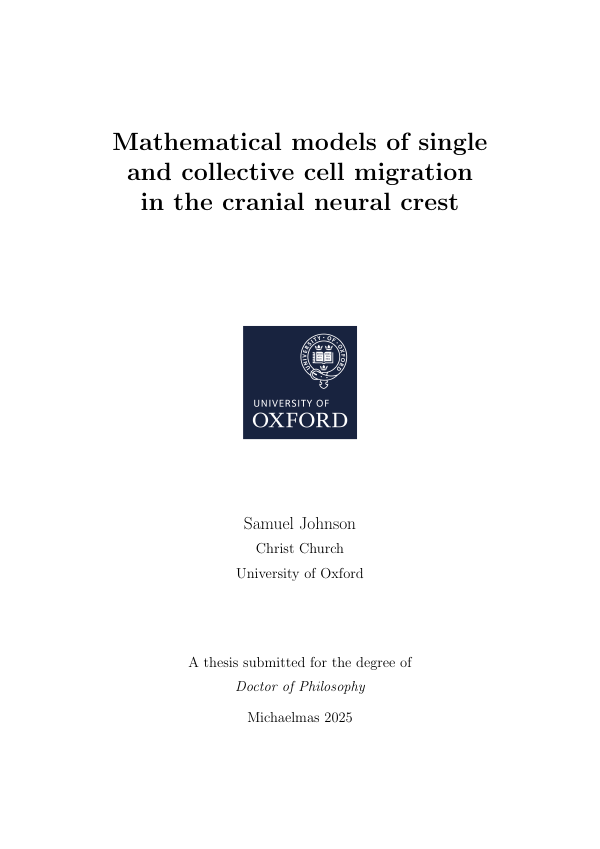 Front cover of Samuel Johnson's DPhil thesis
